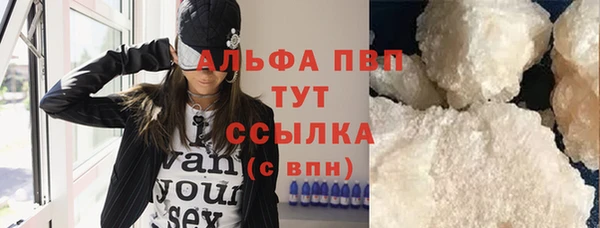 индика Гусев