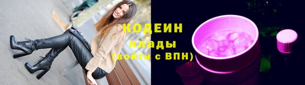 ПСИЛОЦИБИНОВЫЕ ГРИБЫ Гусиноозёрск