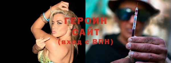индика Гусев