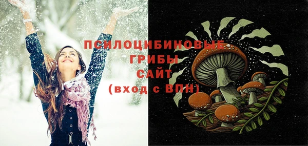 индика Гусев