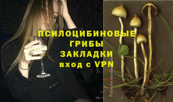 индика Гусев