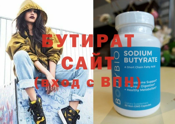 индика Гусев