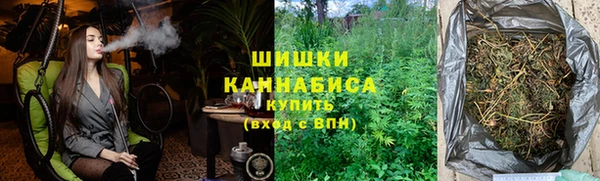 индика Гусев