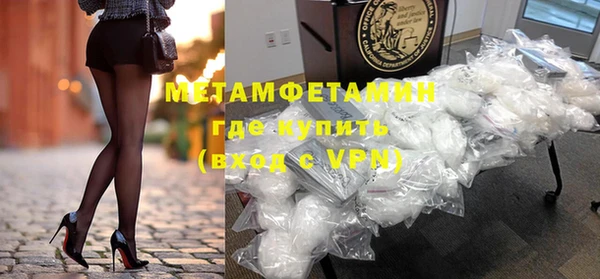 индика Гусев