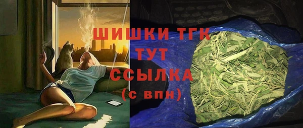 ПСИЛОЦИБИНОВЫЕ ГРИБЫ Гусиноозёрск