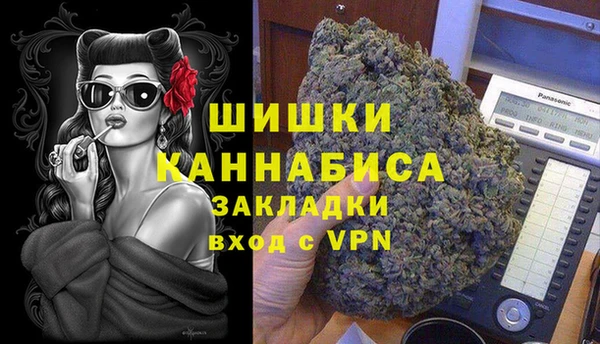 индика Гусев