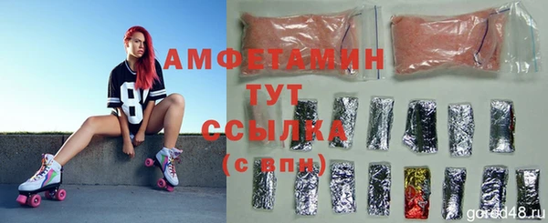 индика Гусев