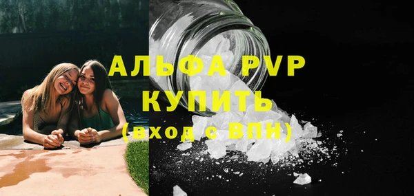 индика Гусев