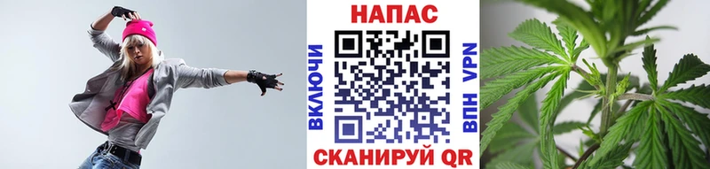 где можно купить наркотик  Далматово  Каннабис OG Kush 